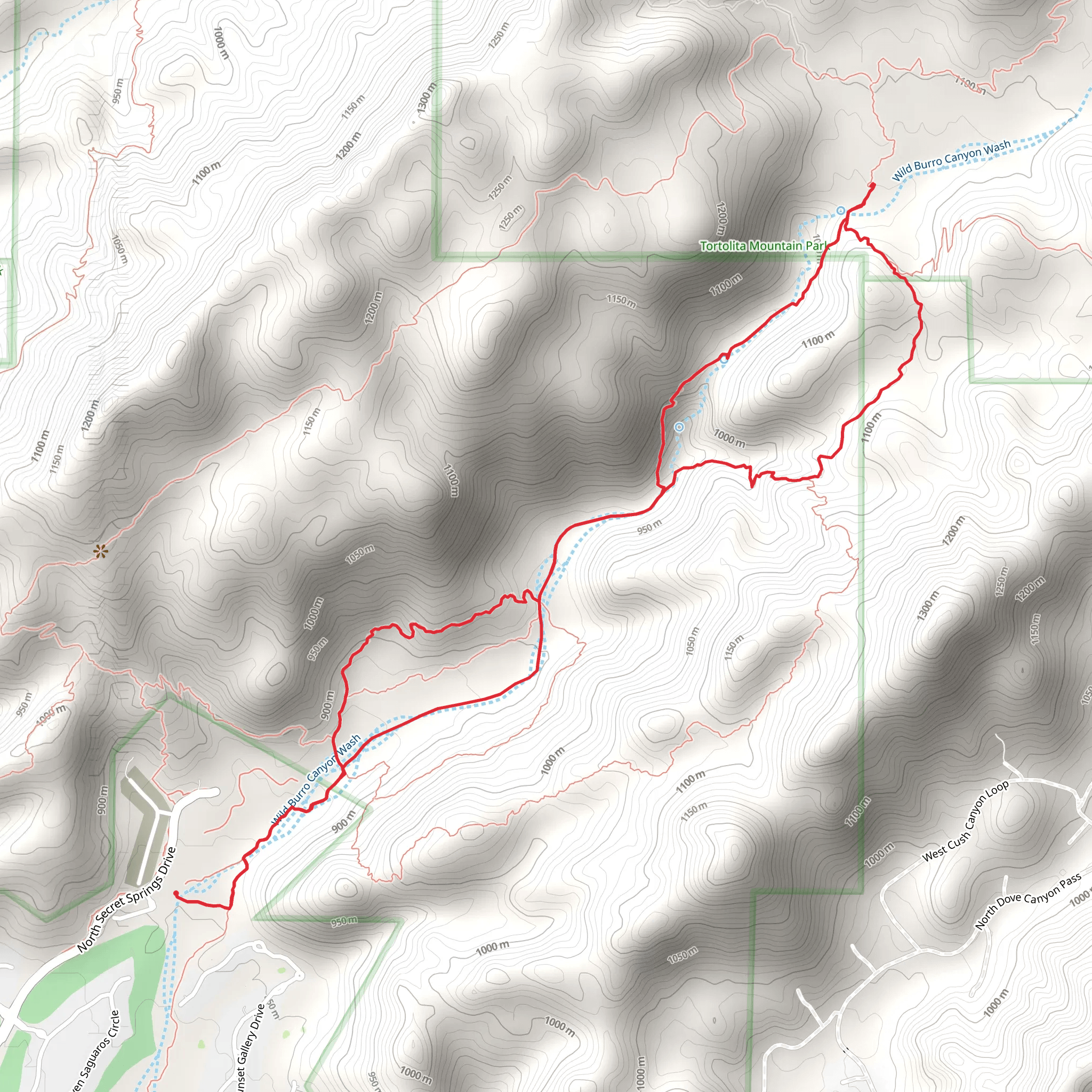Wild Burro Loop mobile static map