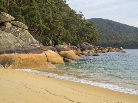 Wilsons Promontory - Refuge Cove Trail