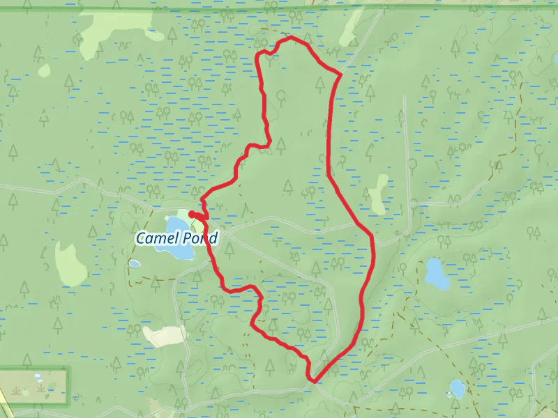 Florida and Trail of Lakes Loop Trail