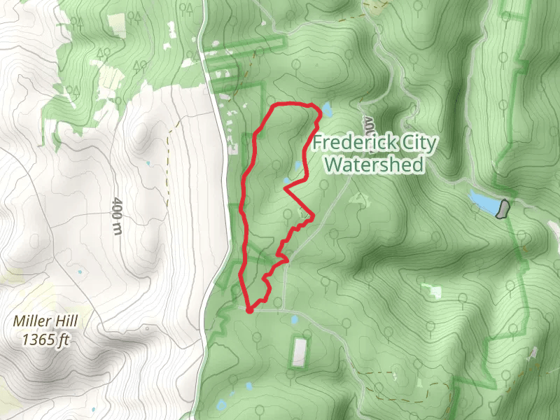 Blue Balls - Buck Flats Loop Trail