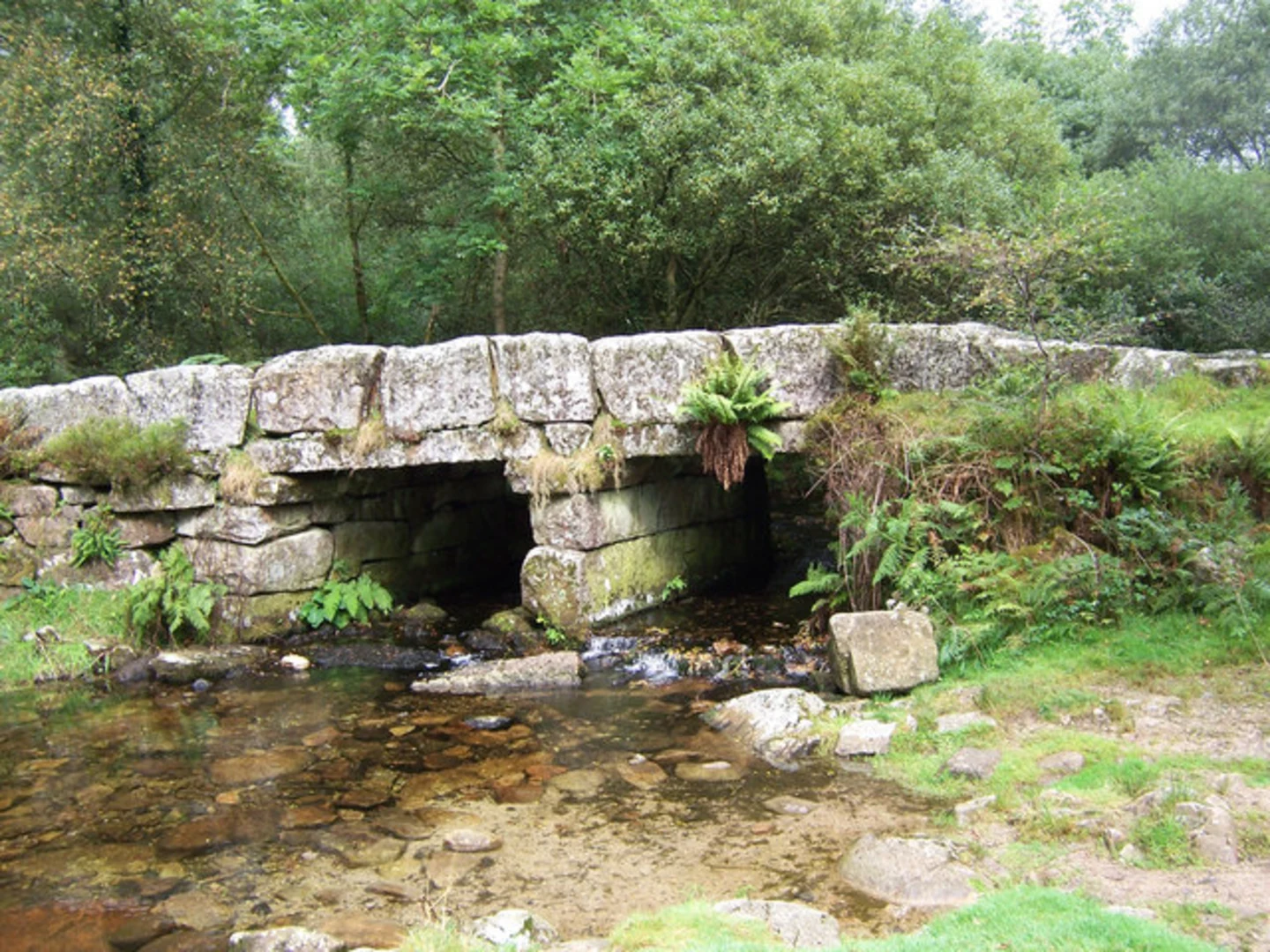 An image depicting the trail Burrator Reservoir, Leather Tor Bridge Loop and its surrounding area.