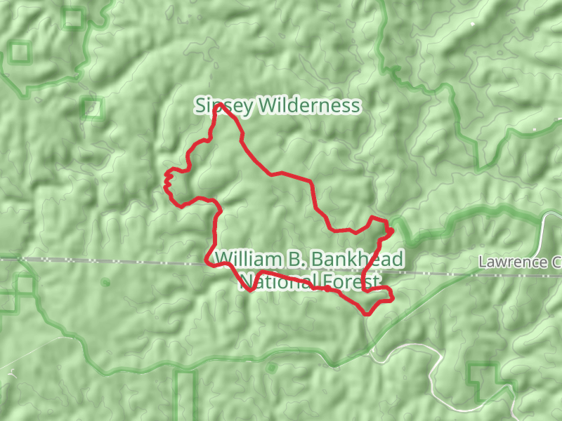Sipsey Wild Hiking Trail and Bunyan Hill Wild Hiking Loop Trail