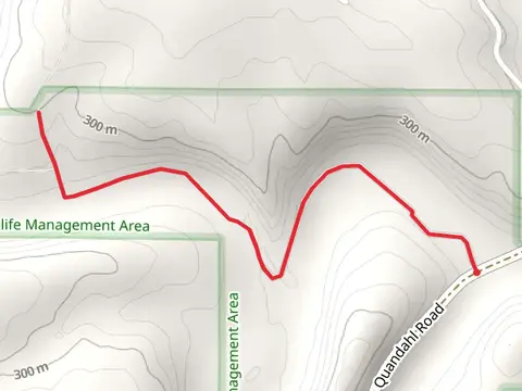 North Bear Creek from Quandahl Road
