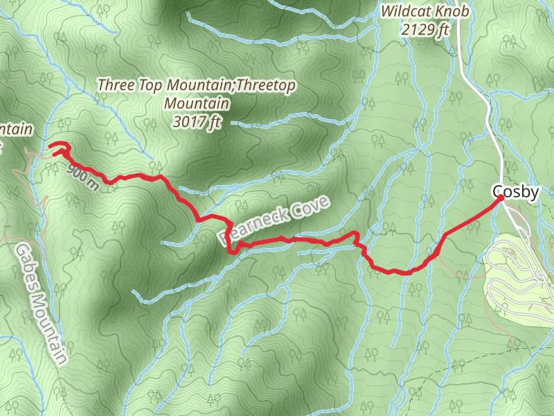 Bearneck Gap and Lower Falling Branch via Gabes Mountain Trail