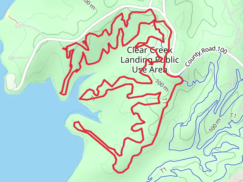 Beginner and Intermediate Loop