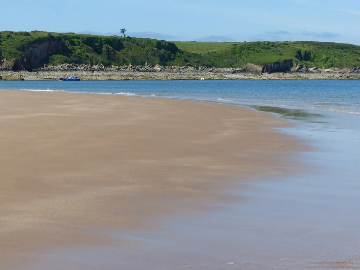 An image depicting the trail Caldey Island - Woodland Walk and its surrounding area.