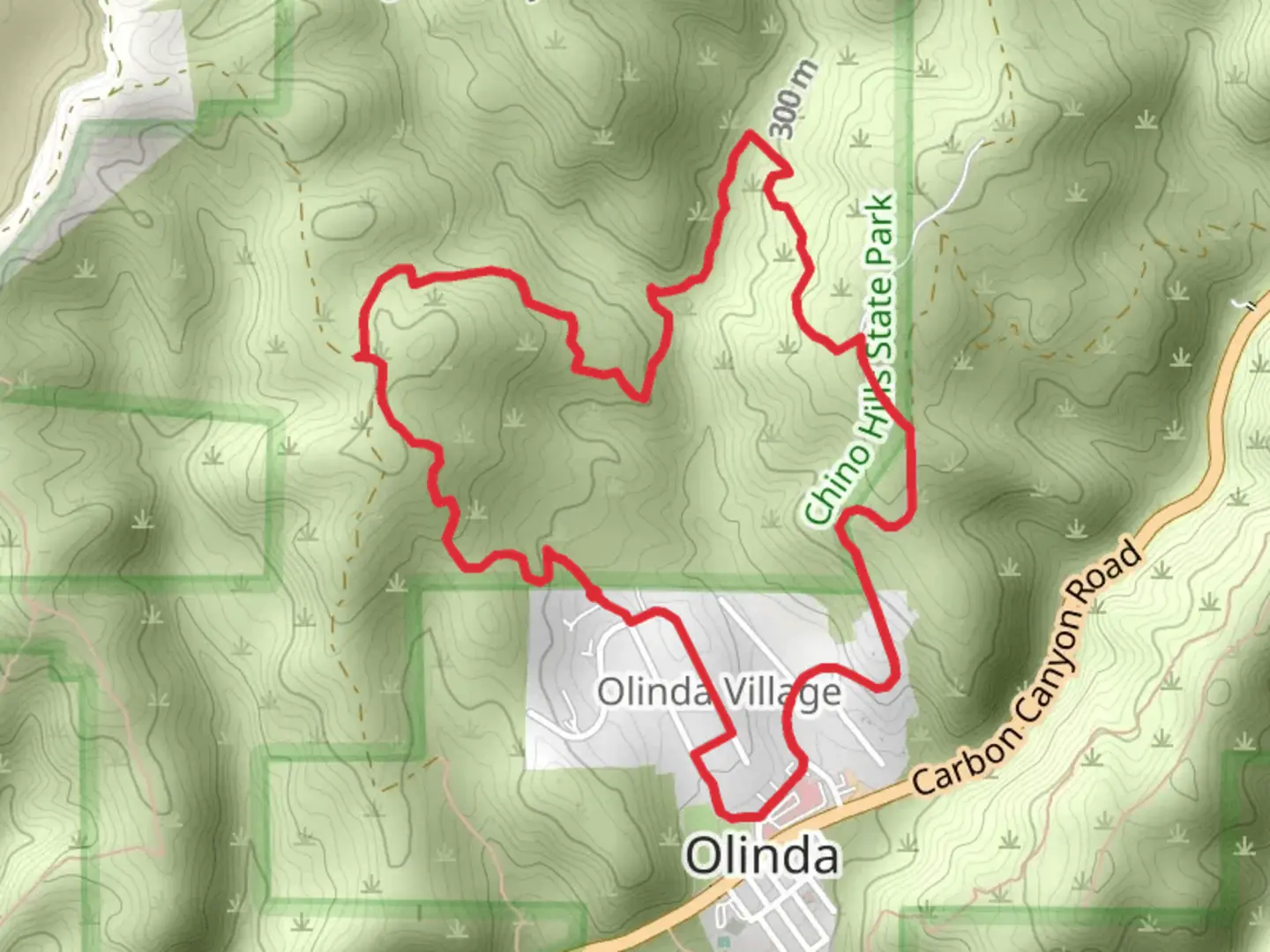 An image depicting the trail Lilac - La Vida Loop Trail and its surrounding area.