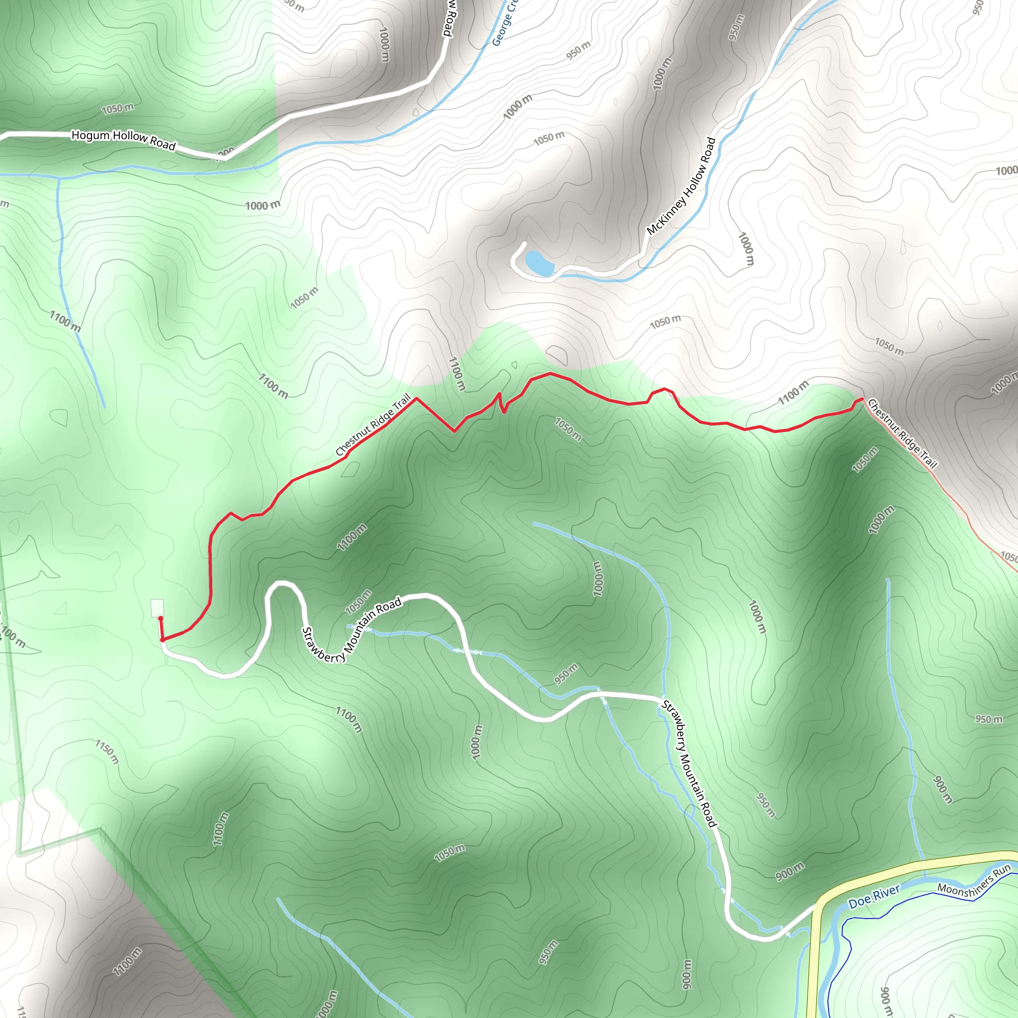 Chestnut Ridge Trail - Short mobile static map