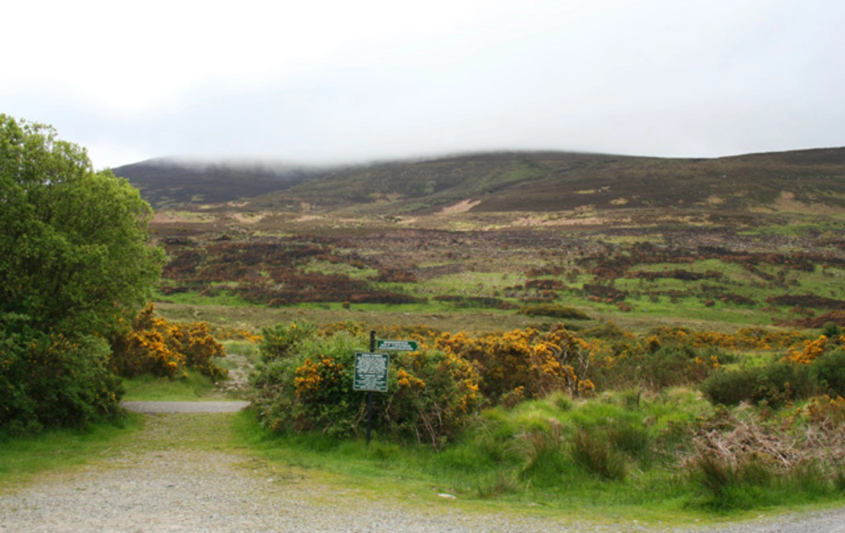 An image depicting the trail Stoompa and Mangerton Mountains Loop from Brackloon and its surrounding area.