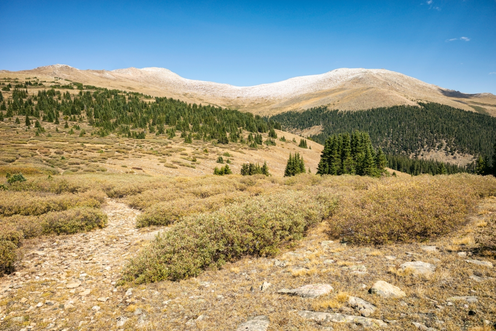 An image depicting the trail Rosalie Trail and its surrounding area.