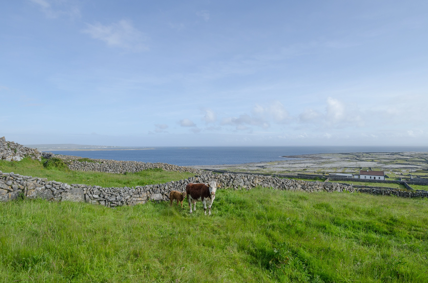 An image depicting the trail Inis Meain - Lub Dun Chonchuir and its surrounding area.
