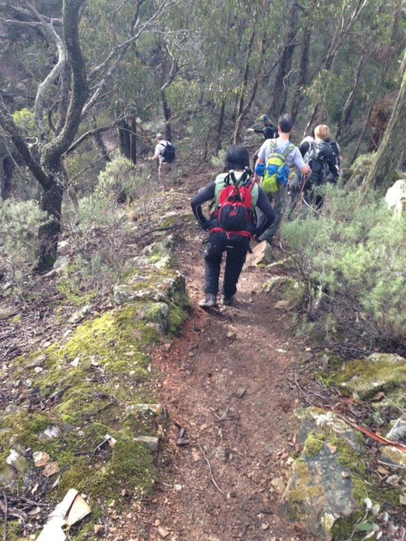 An image depicting the trail Whiskey Creek Circuit Trail and its surrounding area.