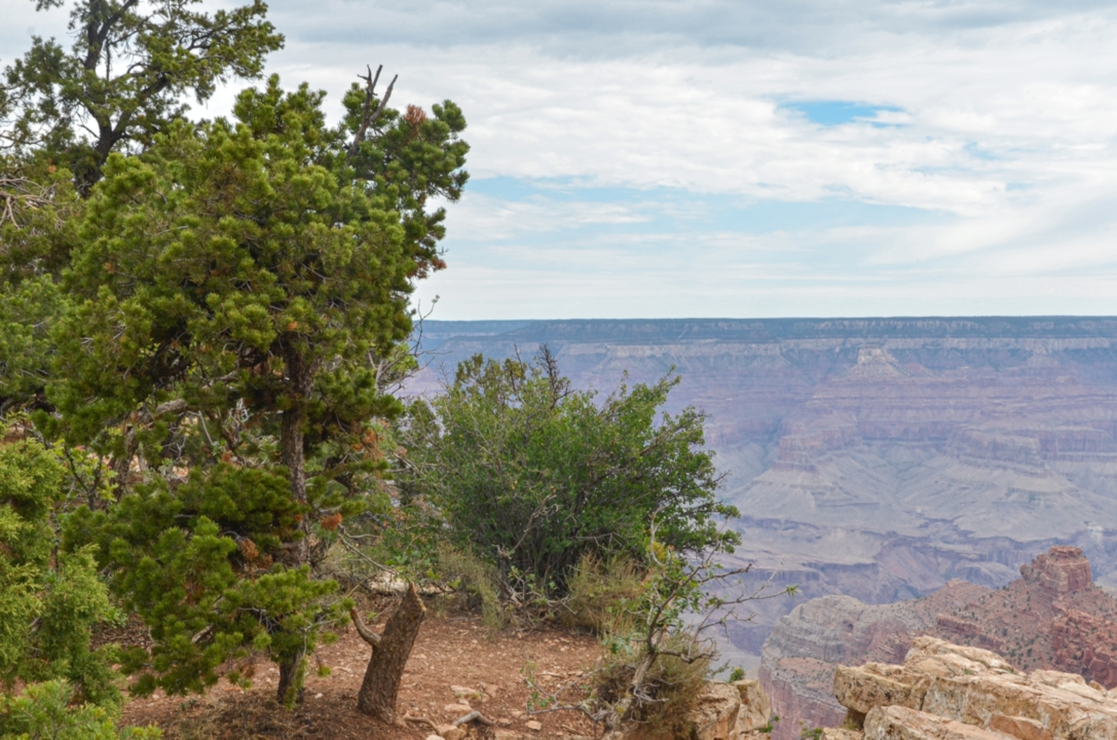 An image depicting the trail South Kaibab Trail and its surrounding area.