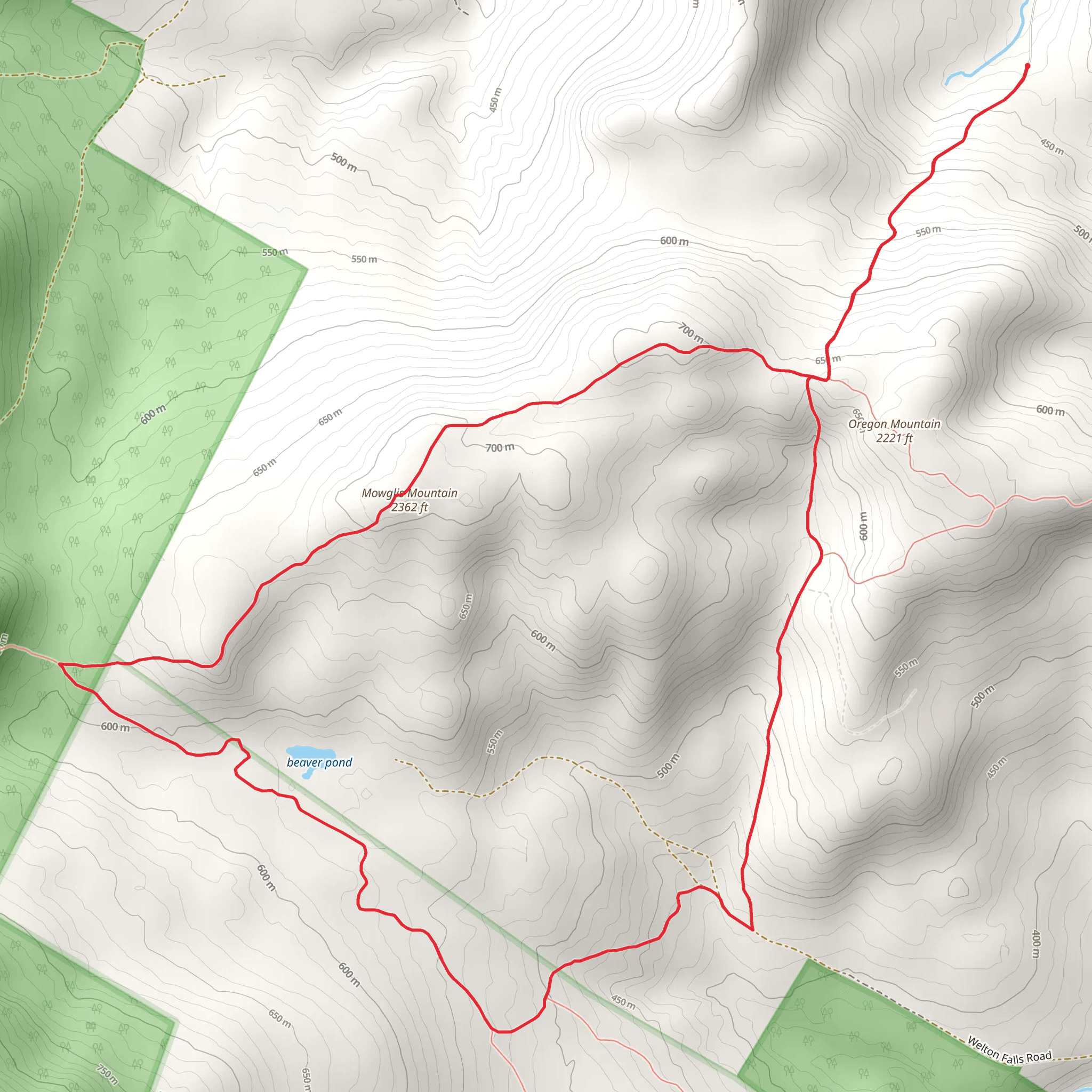 Mowglis Mountain and Beaver Pond Loop Trail mobile static map