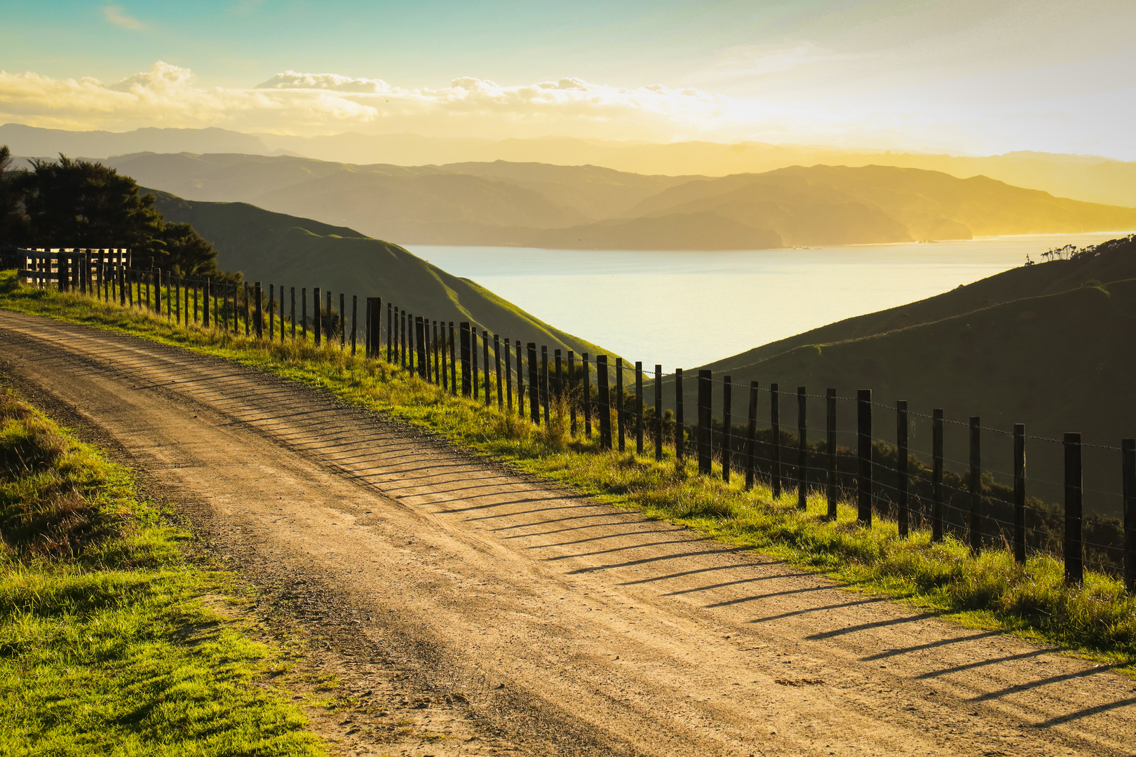 An image depicting the trail Mahia Peninsula Scenic Reserve Track and its surrounding area.