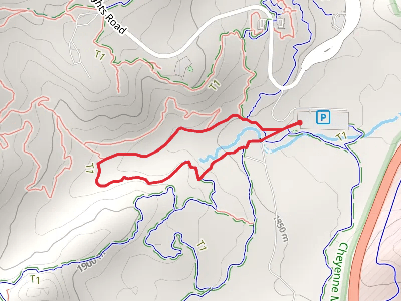 Zook Loop