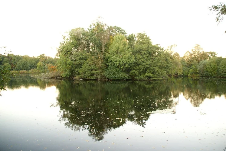 Bramfelder See in Ohlsdorf