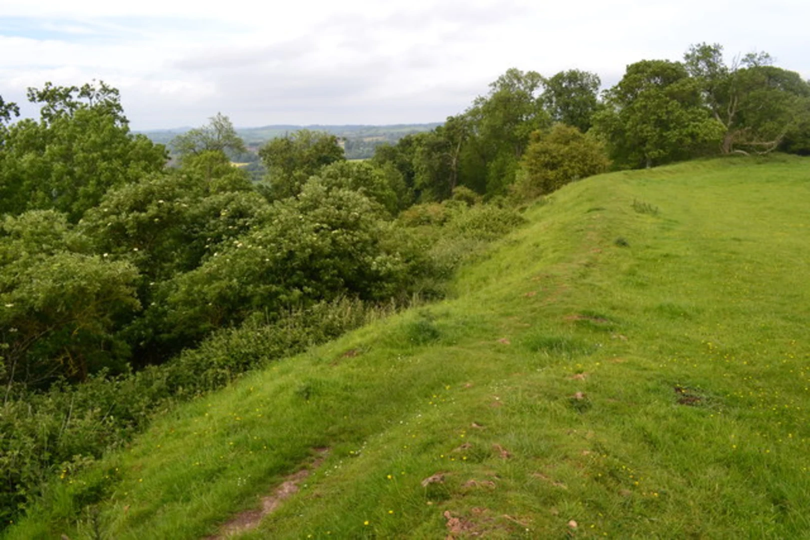 An image depicting the trail Cadbury Hillfort Loop and its surrounding area.