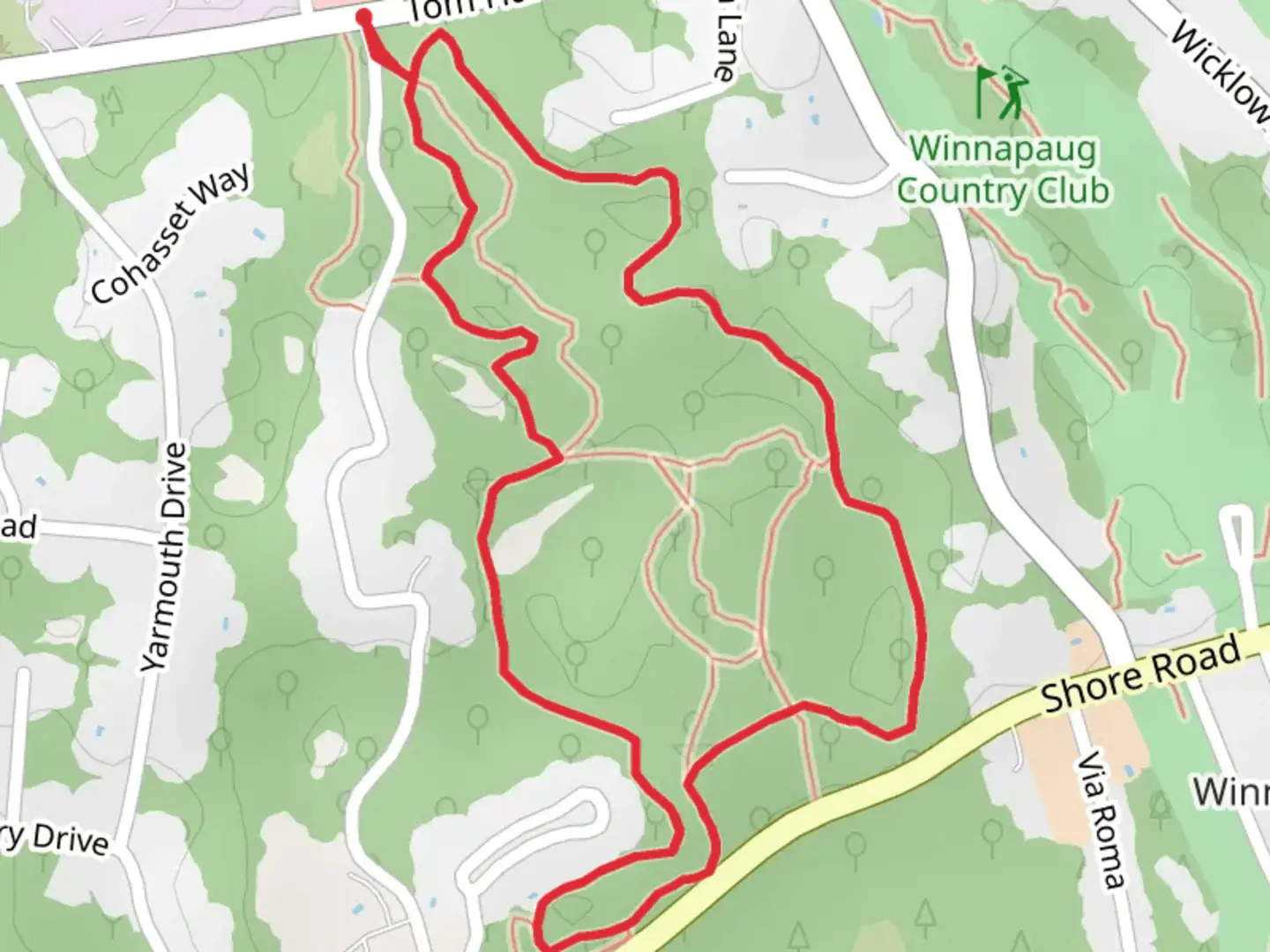 An image depicting the trail Champlin Blue and Green Loop Trail and its surrounding area.