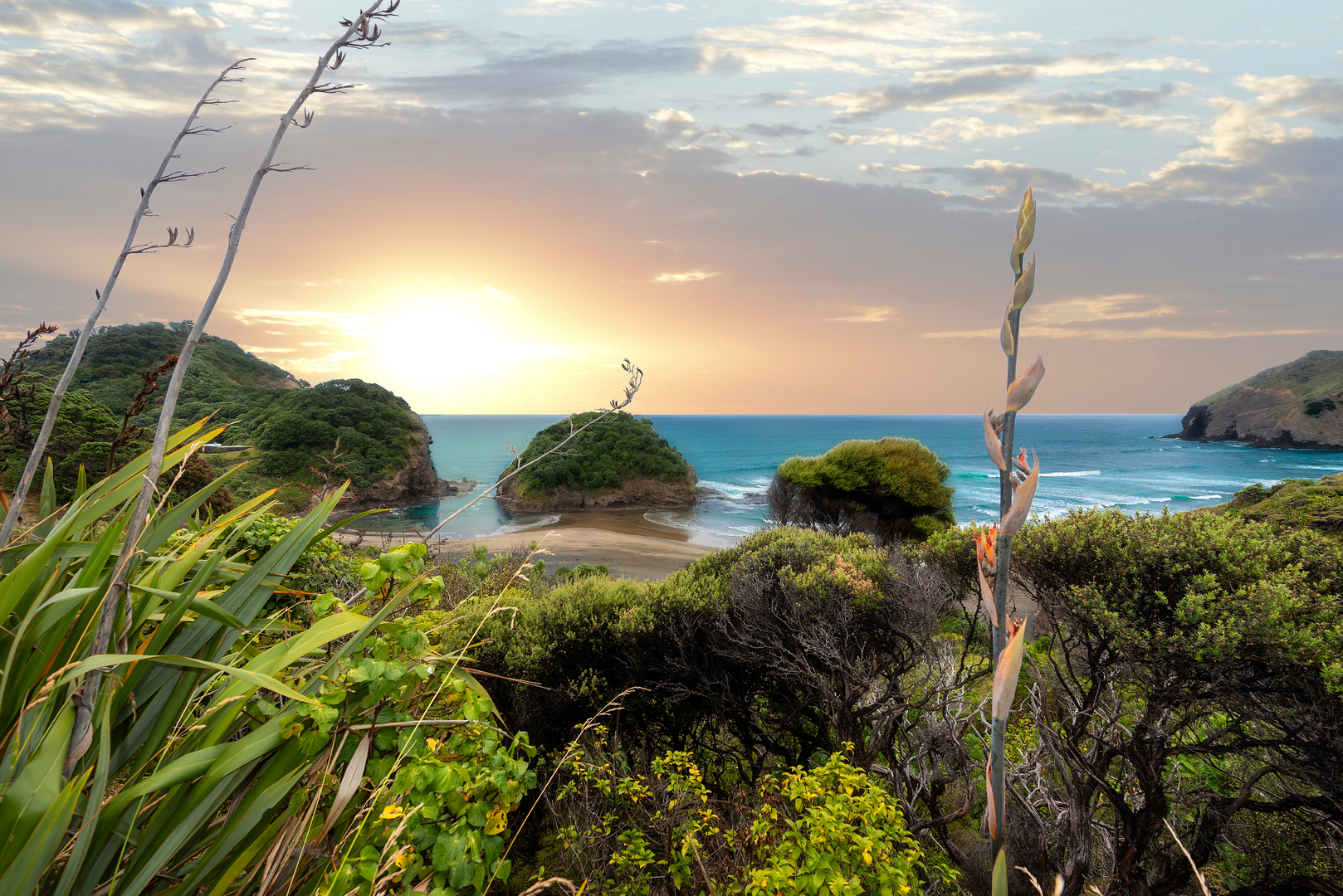 An image depicting the trail Henga Scenic Reserve Walk and its surrounding area.