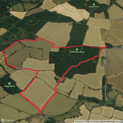 Patterswick and Great Monks Wood - Essex