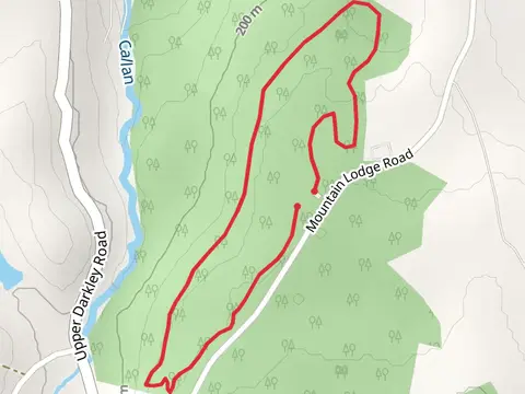 Aughnagurgan Trail - Darkley Forest
