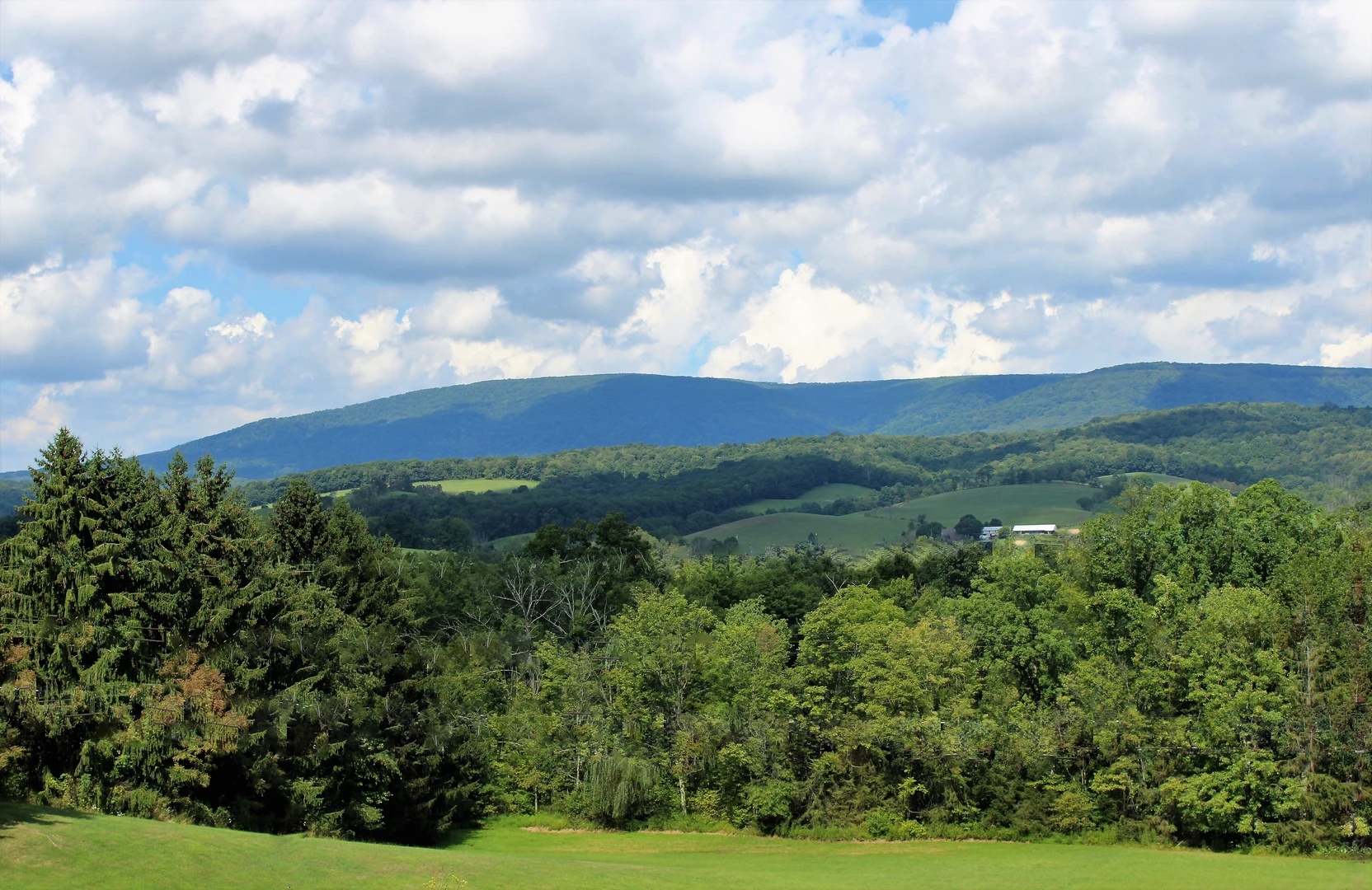 An image depicting the trail Rock-n-Ridge Trail and its surrounding area.