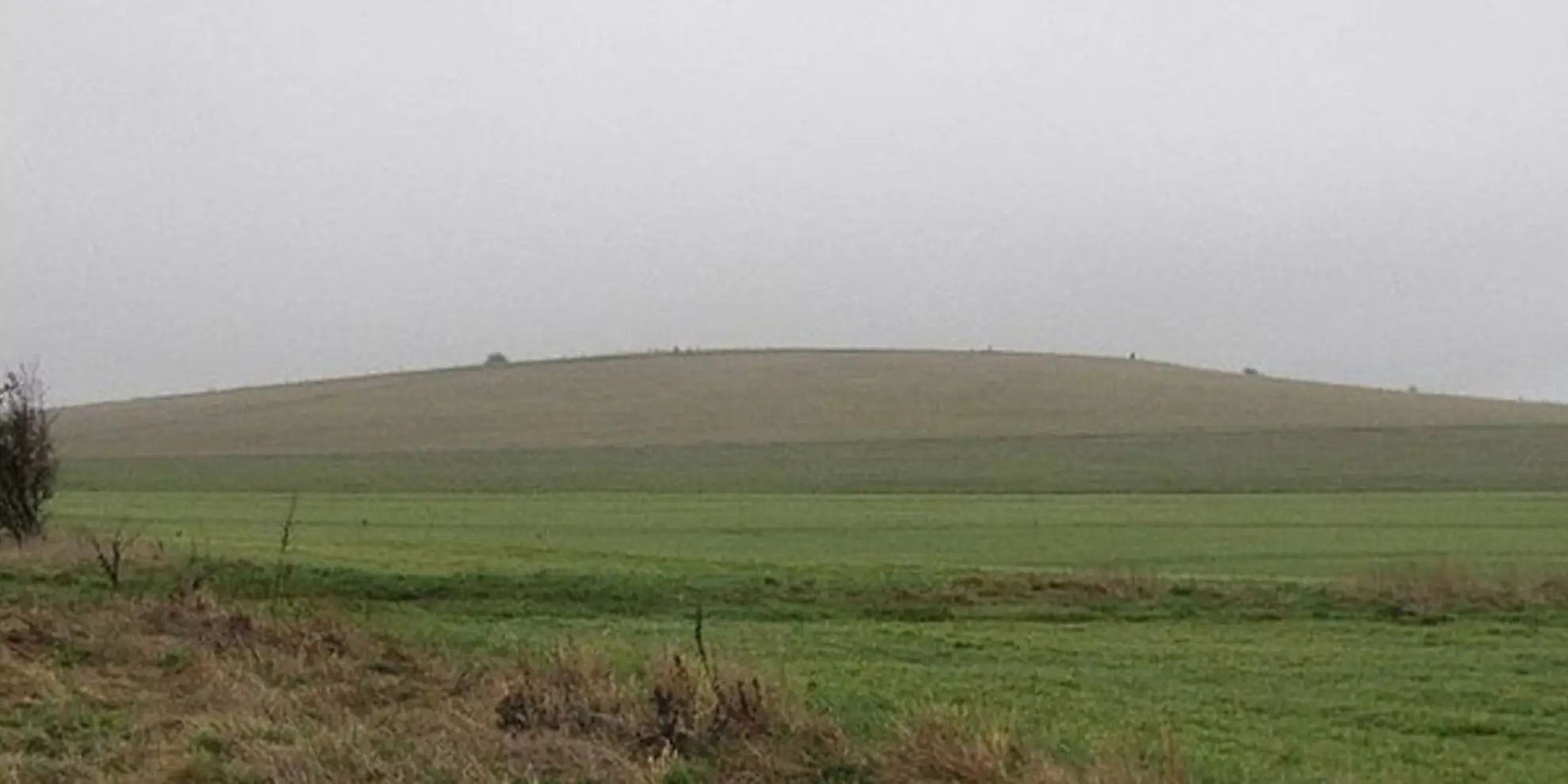 An image depicting the trail The Fair Mile and Unhill Bottom near Streatley and its surrounding area.