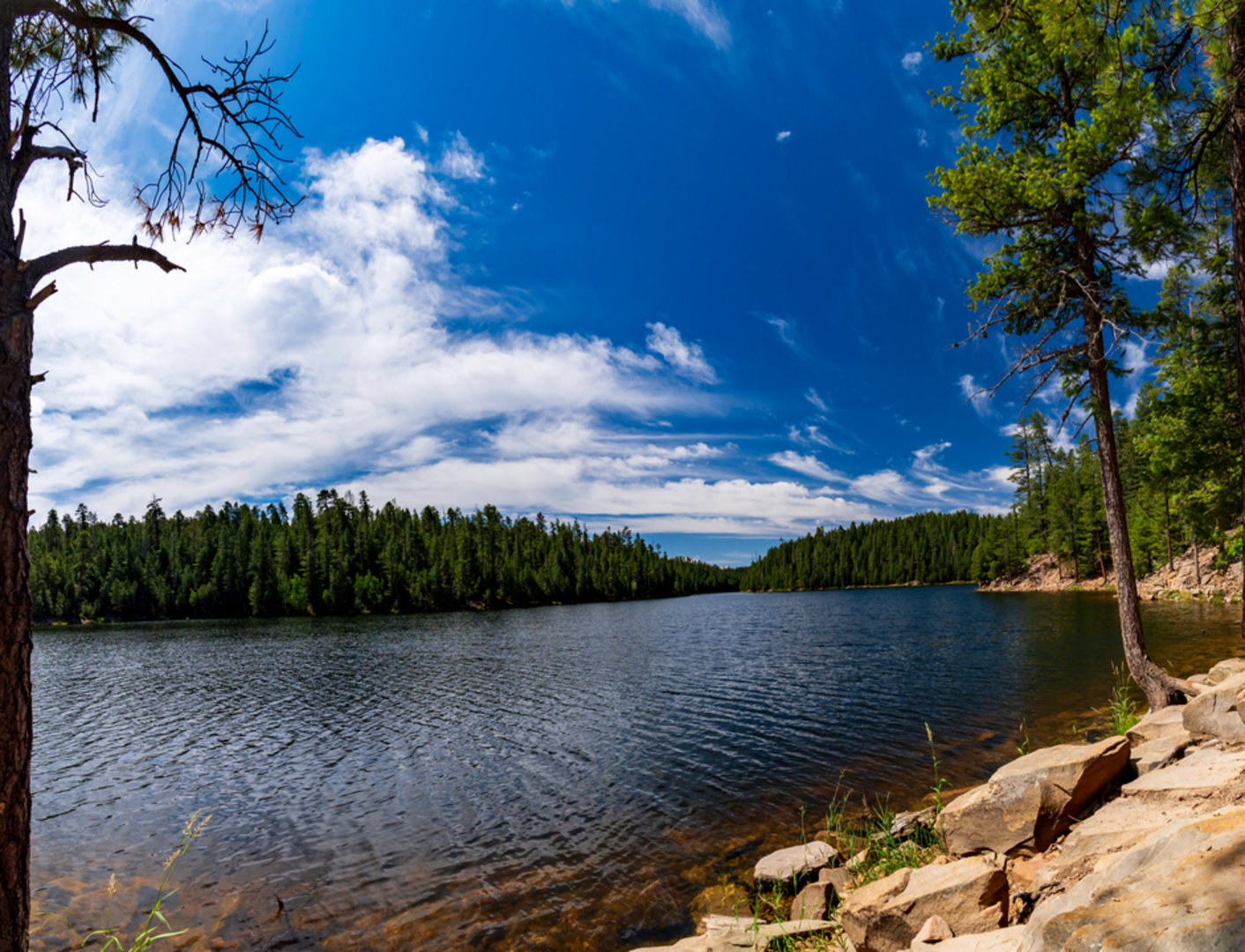 An image depicting the trail Two-O-Eight Trail and its surrounding area.