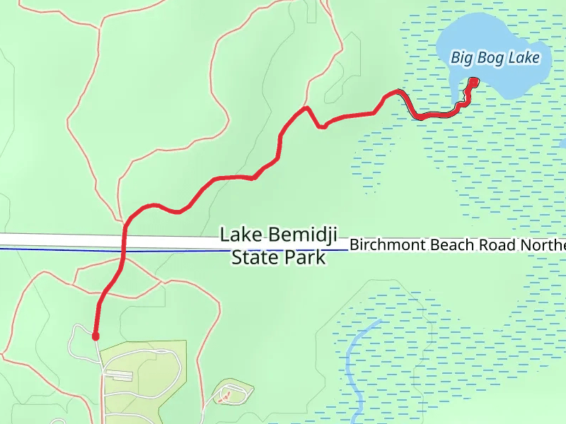 Old Logging and Big Bog Lake Walk