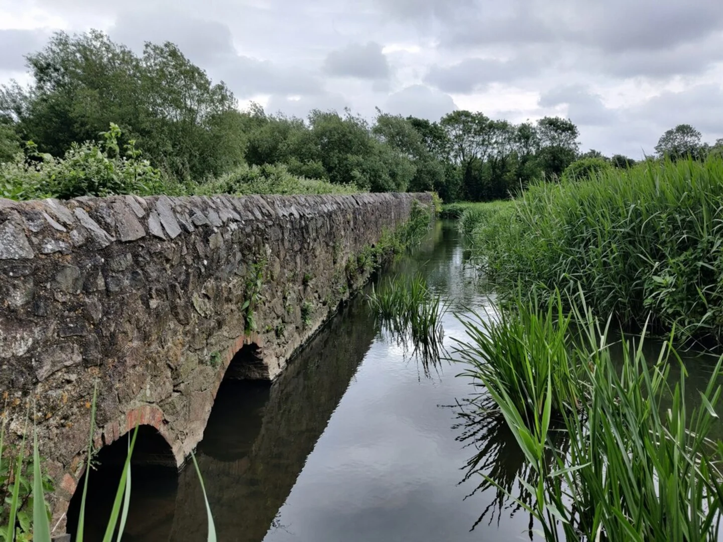 An image depicting the trail Grand Union Canal Walk - Aylestone Meadows and its surrounding area.