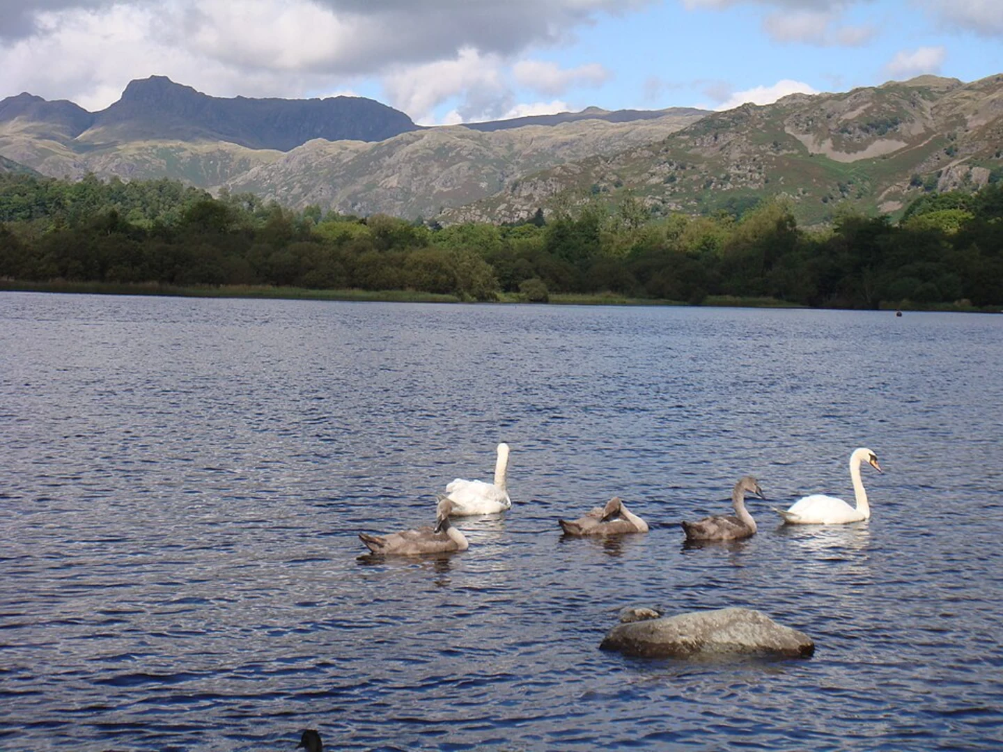 An image depicting the trail Raw Head to Coniston Walk via Elter Water and its surrounding area.