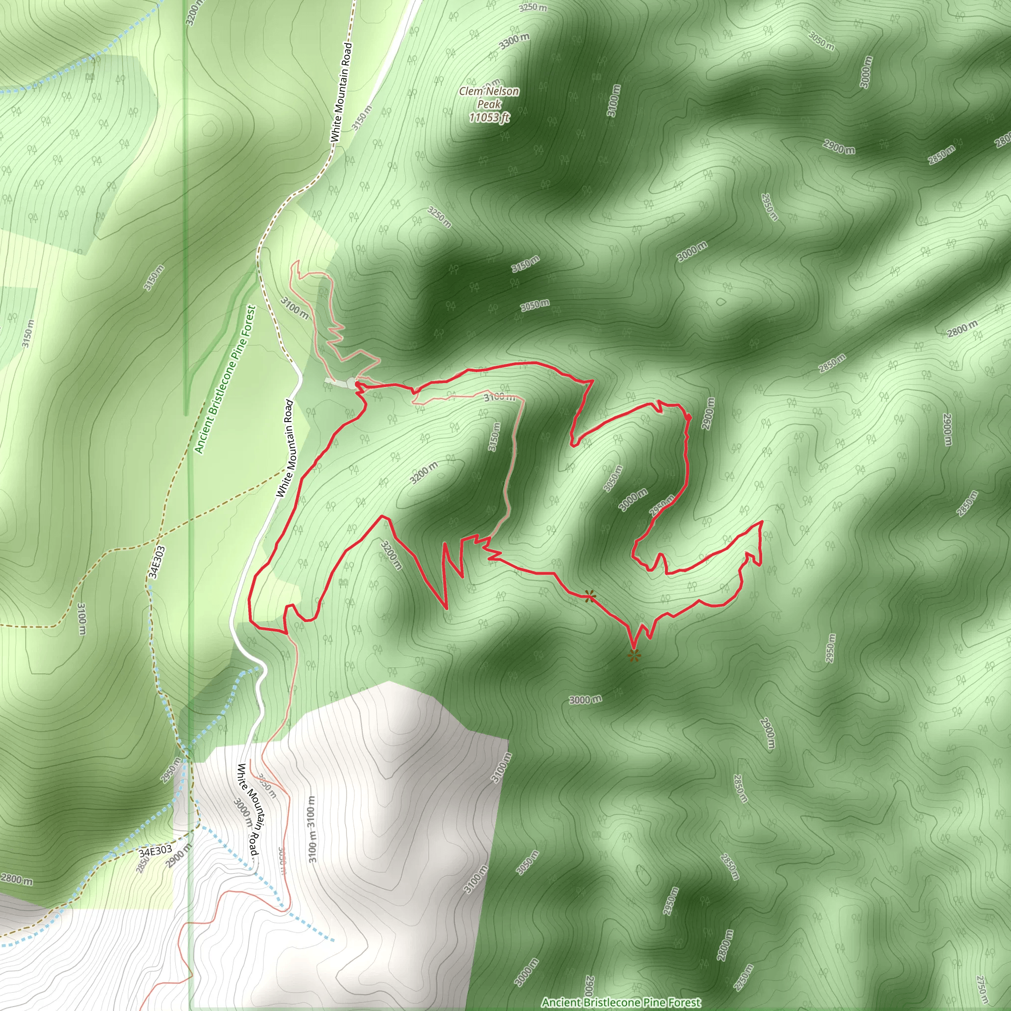Bristlecone Cabin Loop mobile static map