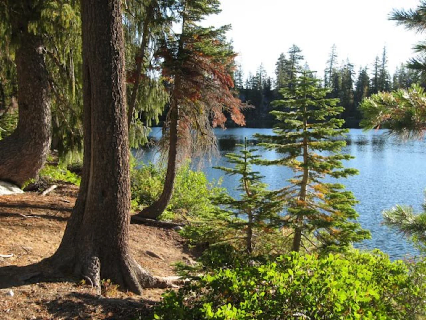 An image depicting the trail Paynes Lake via Etna Summit and its surrounding area.