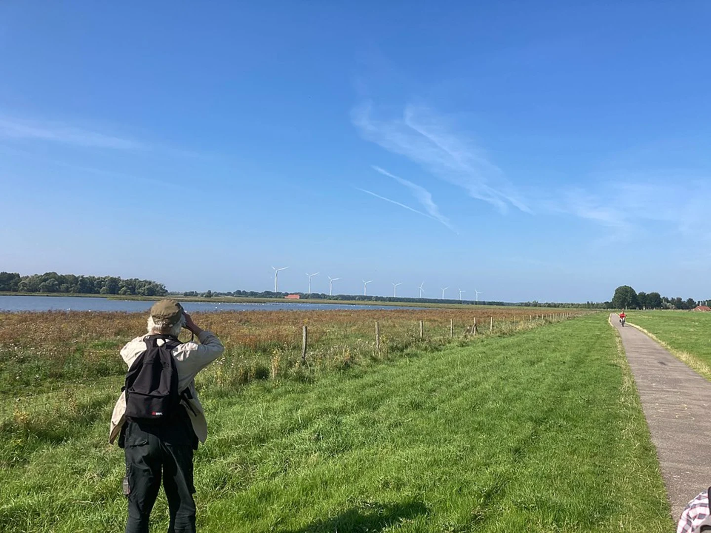 An image depicting the trail Biesboschpad and Oudendijk Loop and its surrounding area.