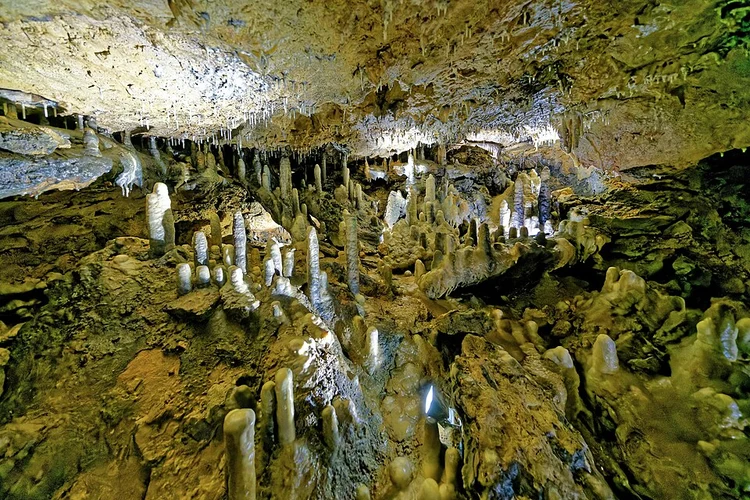 Ludwigshöhle, Burg Rabenstein and Sophienhöhle Loop