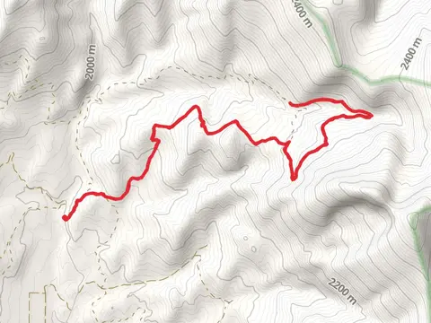 Upper Bitter Creek via Bitter Creek Trail