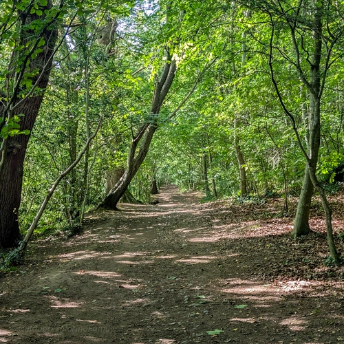 The Lost Spa Walk - Barnard Castle