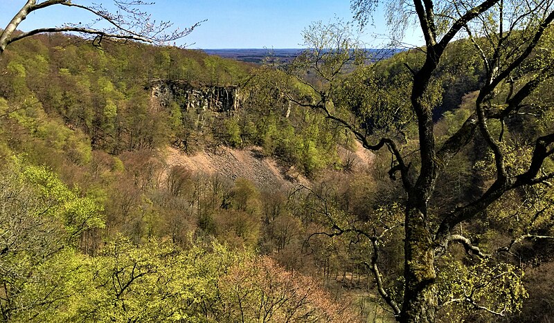 An image depicting the trail Söderåsen National Park and its surrounding area.