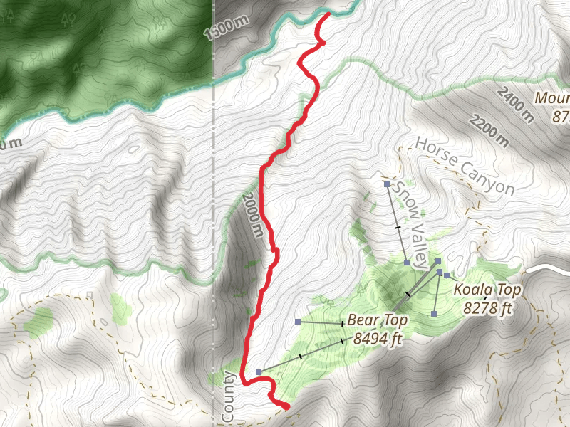 Grouse Valley Trail