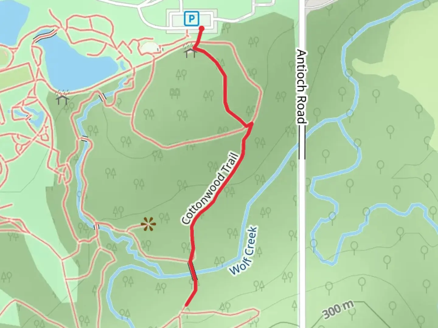 An image depicting the trail Wolf Creek via Cottonwood Trail and its surrounding area.