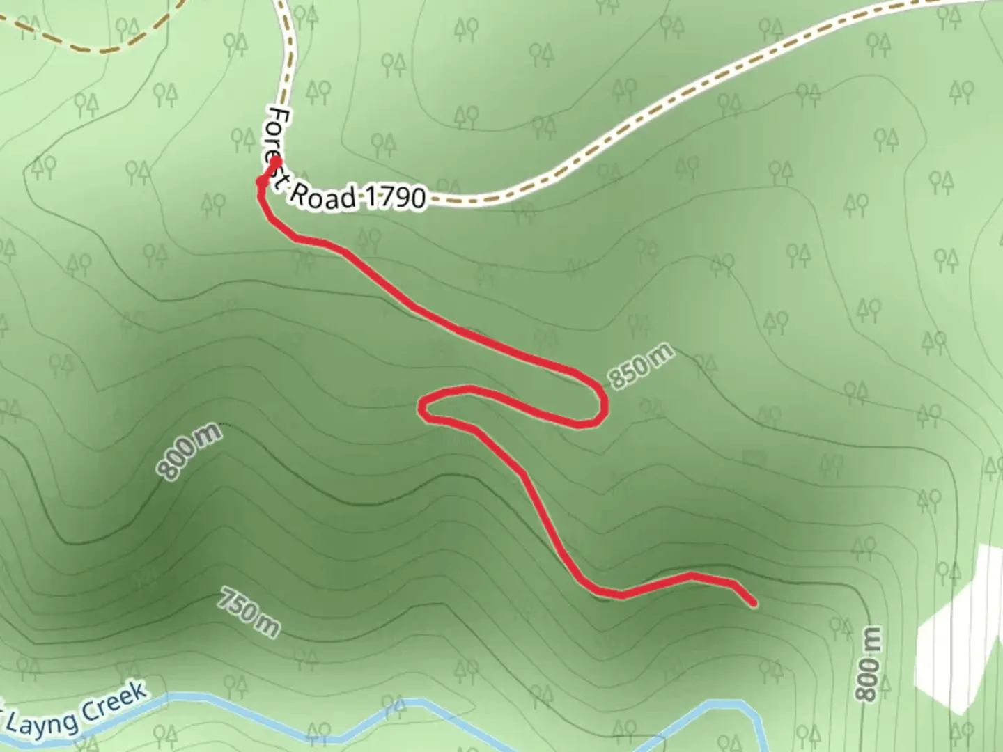 An image depicting the trail East Fork Layng Creek from Forest Road 1790 and its surrounding area.