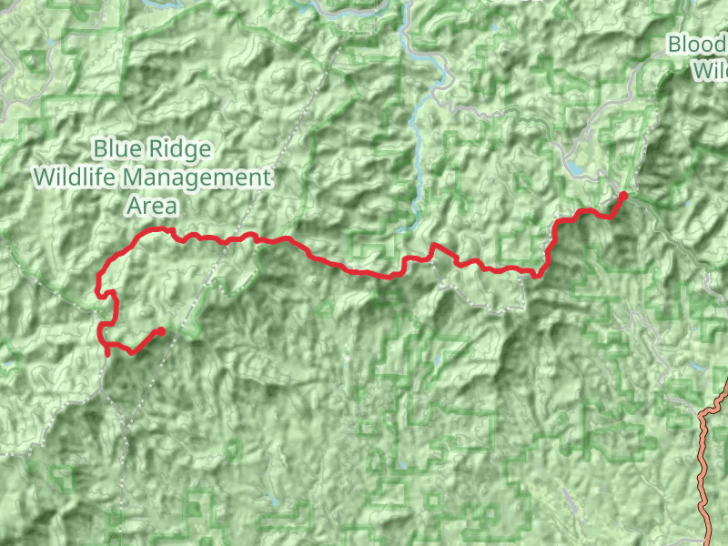 Ramrock Mountain to Springer Mountain via Appalachian Trail