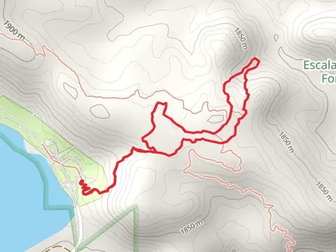 Petrified Loop