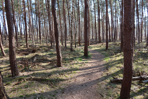 Dochterensche Veld, Galgengoor and Warkensche Veld Loop
