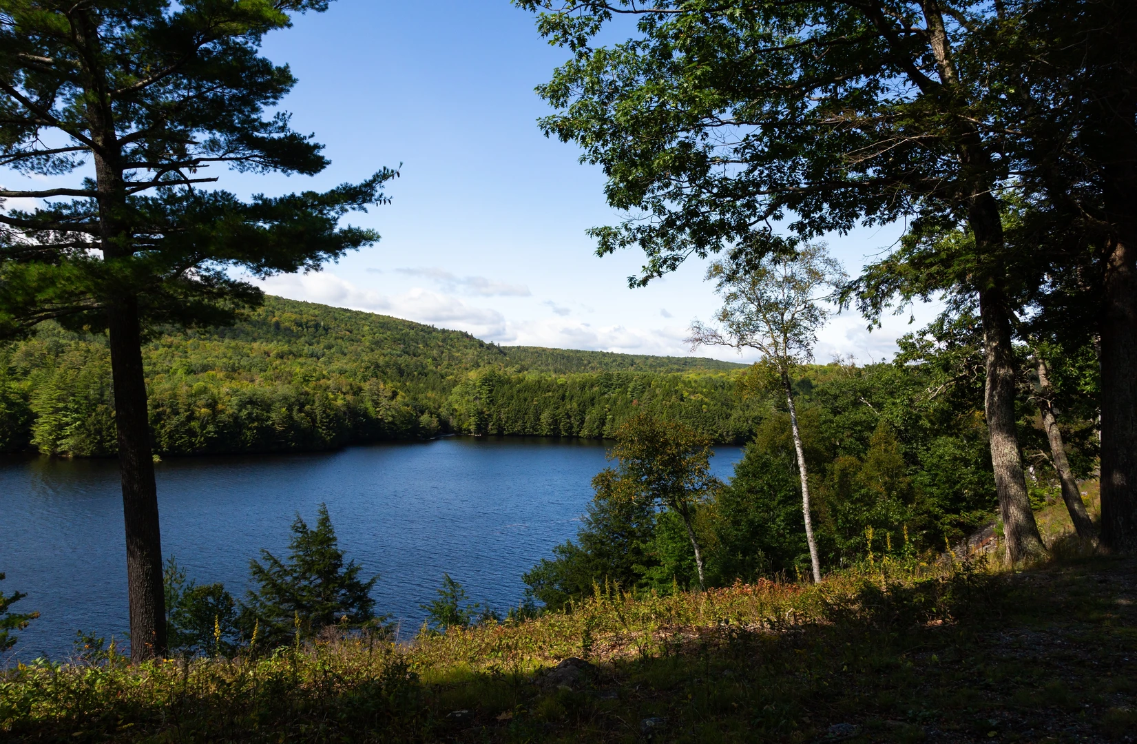 An image depicting the trail Kennebec River Loop and its surrounding area.