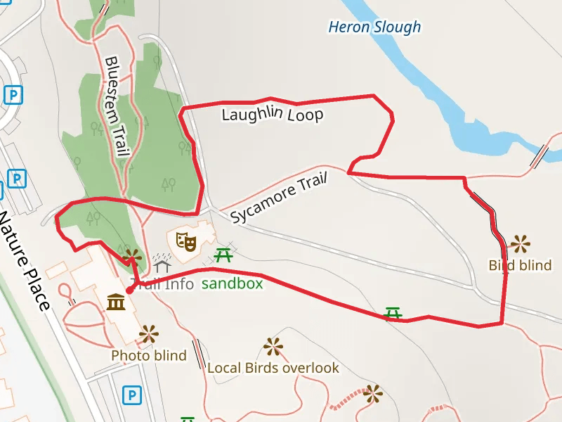 Laughlin Loop