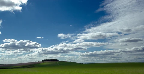 Burpham Country Park Loop