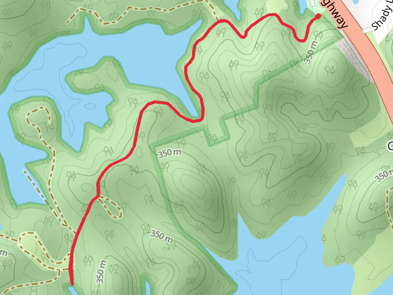 Noeton Boat Launch Walk to Holston River