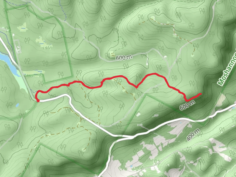 Allegheny Front Trail - Beaver Mills